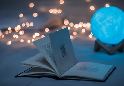 纪录片《地球脉动》海报，壮丽的自然景观与野生动物